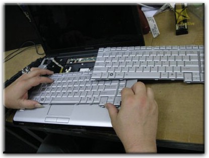 Ремонт клавиатуры на ноутбуке Toshiba в Калининграде